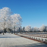 War cemetery on freezing winterday